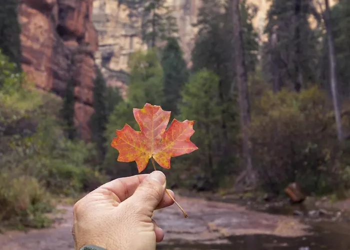 Grand Canyon Near Railway Golf Outdoor Fun Pet-friendly *